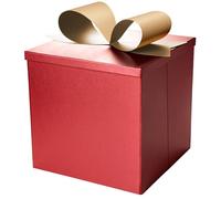 BIOBROWN Medium Gift Boxes with Lids for Presents, 22 x 22 x 22 cm Red Collapsible Gift Box for Valentine's Day, Birthday, Wedding, Baby Shower, Party, Any Occasion