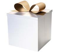 BIOBROWN Medium Gift Boxes with Lids for Presents, 22 x 22 x 22 cm White Collapsible Gift Box for Valentine's Day, Birthday, Wedding, Baby Shower, Party, Any Occasion