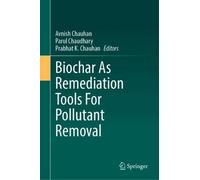 Biochar As Remediation Tools for Pollutant Removal