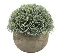 Biodegradable Paper Pulp Fake Plant 13cm Eco Pot(E)