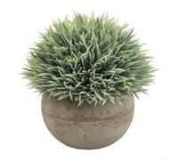 Biodegradable Pulp Pot Simulated Plant 13cm No Water(A)