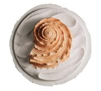 Biodegradable Urn for Human Ashes (Oceanside Shell Coral) Water Burial Urn, Urn Floats in Water, Urn for Cremation, Ocean Water Scattering Urn for Ashes, Floating Urn, Earth Memorials, Large W-305