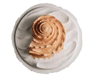 Biodegradable Urn for Human Ashes (Oceanside Shell Coral) Water Burial Urn, Urn Floats in Water, Urn for Cremation, Ocean Water Scattering Urn for Ashes, Floating Urn, Earth Memorials, Large W-305