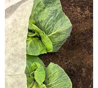 BioFleece Biodegradable Frost Protection Garden Fleece for Plants | Heavy-Duty Plant Cover for Cold Weather Down to -5°C | Available in 2m Width, Multiple Lengths (18gsm 2m x 10m)