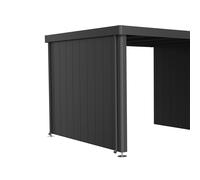 Biohort Side Wall for the Side Roof for Garden Shed Neo - Dark Grey-Metallic - 3A/3B/3C/3D