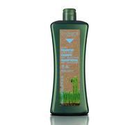 Biokera Salerm Shampoo Honey Scalp Care 1000 ml