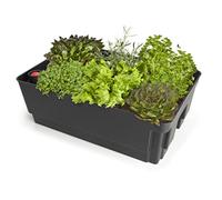 Biolan Planter with Sub-irrigation bottom and Water Level Indicator, 36x57x20cm for fresh herbs, vegetables and flowers - garden planters large outdoor - vegetable planters outdoor - 7l water storage