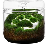 Bioloark Luji Glass Cup MY-120 - 1 item
