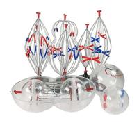 Biological Cell Models, Animal and Plant Mitosis and Meiosis Animal and Plant Cell Mitosis and Meiosis Model 9 Parts Medical Science Anatomy Cell and Mitosis Model Set