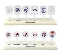 Biological Cell Models Set, 12 Parts Mitosis and Meiotic Models for Science Anatomy, Ideal for Biology Teaching Aid and Easy Observation