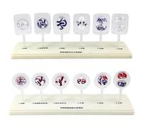 Biological Cell Models Set for Animal and Plant Cell Mitosis and Meiosis, 12-Part Anatomy Science Kit, Easy-to-Use Teaching Aid for Biology Education