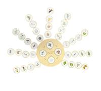 Biological Learning Puzzle Kids Life Cycle Growing Demonstration Growth Process Teaching Board Toy For Toddler Education