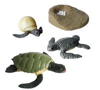 Biological Science Toys - 4-5 Stage Animal Growth Cycles Set | Educational Teaching Aids | Realistic Frog Butterfly Turtle Ant Luna Moth Figures Learning