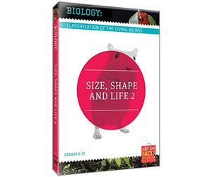 Biology Classification: Size Shape & Life 2 [DVD] [2013] [Region 1] [US Import] [NTSC]