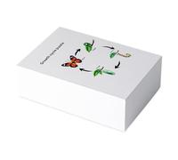Biology Life Cycle Learning Kit: set đe educational experiments, interactive growth model, science activities tools, practical supplies for the life cycle