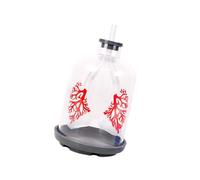 Biology Teaching Aid Demonstrating Diaphragm Action and Exchange in Respiratory Large Size for Clear Instruction Lung Exchange Model