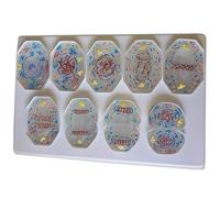 Biology Teaching Model 10 Pcs Animal Cell Meiosis Model Classroom Cell Structure Taxonomy Cell Division Stage Display Cell Anatomical for Educational Training Aid