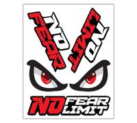 Biomar Labs® Set (4pcs) Vinyl Stickers Decals No Fear No Limit Eyes Car Motorcycle Bike Helmet D 45 New