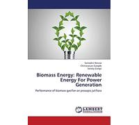 Biomass Energy: Renewable Energy For Power Generation: Performance of biomass gasifier on prosopis juliflora