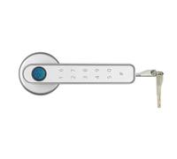 Biometric Fingerprint Smart Door Lock Electronic Digital Password Keyless Security Handle Home Office Commercial(Silver)