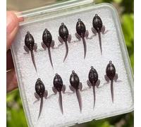 Biomimetic Soft Tadpole Lure for Bass Fishing Topwater Use, Floating Silicone Material with Lifelike Tail Movement and Pre Rigged Hooks (B)