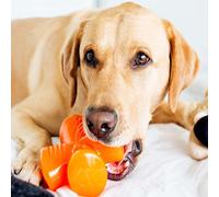 BIONIC Stuffer Dog Toy - 12.5cm