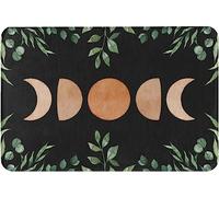 Bioonce Moon Phase Witchy Celestial Botanical Whimsigoth Non-Slip Absorbent Resist Dirt Doormat Entrance Rug Inside Floor Mats for Home Bedroom Kitchen Front Porch 16x24 inch