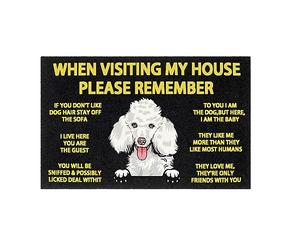 Bioonce When Visiting My House Please Remember Poodle Indoor Doormat Durable Welcome Front Door Mats Entryway Rugs Non-Slip Resist Dirt Area Rugs Carpet for Dogs Lovers Home Decor 24x16 Inch