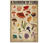 Biopracess A Rainbow Of Fungi For Home Garden Poster Plaque Decor Gallery Wall Tin Sign 8x12 inch