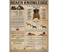 Biopracess Boxer Knowledge Boxer Gift For Dog Lovers Dog Decor Poster Wall Art Decor Metal Sign Poster 8x12 Inches