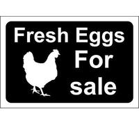 Biopracess Fresh Eggs For Sale Sign For Outdoor & Indoor Metal Sign 8x12 Inches