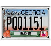 Biopracess Georgia Jumbo Old Licence Plate United States License plate sign 6x12 inches