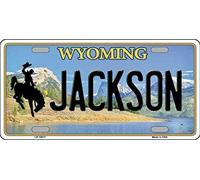 Biopracess New License Plate jackson wyoming state background novelty License Plate Sign 15x30 CM