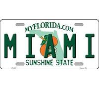 Biopracess New License Plate miami florida state background novelty License Plate Sign 15x30 CM
