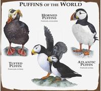 Biopracess Puffins Of The World Poster Print Bedroom Retro Cafe Store Metal Sign 8x12 inch