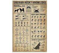 Biopracess Siberian Husky Knowledge Gift For Dog Lover Cool Wall D¨¦cor Art Metal Sign Art Tin Metal Poster Gift 8x12 inch