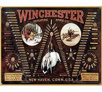 Biopracess Tin Sign New Win Bullet Board Wall Decor 8x12 Inchs