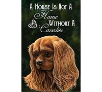 Bioprocess Cavalier King Charles Spaniel Ruby Red Cavalier Dog Wall Decor Wall Decor Poster Metal Sign 8X12 Inches