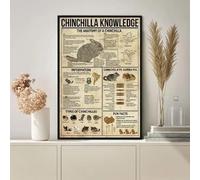 Bioprocess Chinchilla Knowledge, Knowledge Poster, Chinchilla, Chinchilla, Chinchilla, Chinchilla Gifts, Chinchilla L Gift Decor Poster Wall Art Tin Sign Decor Metal Sign Poster 12X8 Inches