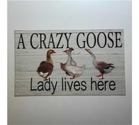 Bioprocess Crazy Goose Geese Lady Lives Here Sign Metal Tin Sign 8X12 inch