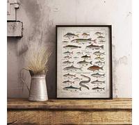 Bioprocess Freshwater Fish Vintage 5 Fish Poster Fish Art Fish Picture Poisson Home Decor Office Art Office Decor Metal Tin Signs Poster 8X12 Inches