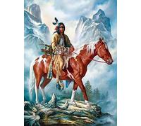 Bioprocess Native American Indian Wolf And Horse Gifts For Native American Indian Funny Novelty Metal Retro Wall Decor Poster Metal Sign 8X12 Inches