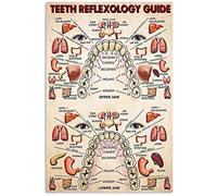 Bioprocess Teeth Reflexology Guide Dental Knowledge Poster Dentist Office Guide Plaque Home Clinic Hospital Wall Art Decorch Wall Decor Poster Metal Sign 8X12 Inches