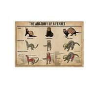 Bioprocess The Anatomy Of A Ferret Poster Home Decor Art Wall Decor Metal Sign Poster 8X12 Inches
