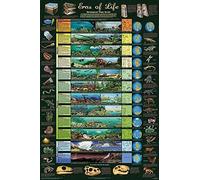 Bioprocess The Eras Of Life Laminated Educational Science Classroom Chart Poster Wall Art Decor Metal Sign Poster 8x12 inches