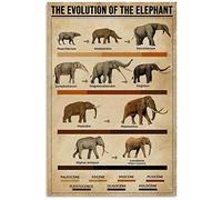 Bioprocess The Evolution of The Elephant Decor Metal Sign Tin Sign Decor Poster Wall Art Poster 8X12 Inches