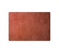 Bioputty Solid Terracotta Bath Mat, Solid Bath Rug, Grunge Bath Decor, Orange Color, Burnt Orange Bathroom Decor, Terracotta Bath Mat, Terracotta Rug 60 x40 CM