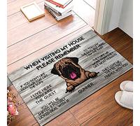 Bioputty When Visiting My House Please Remember English Mastiff Welcome Doormat Back Rubber Door Mat Dog Lovers Housewarming Gifts for Porch Home Decor Outdoor Entrance Floor Carpet