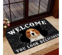 Bioputty You Look Delicious Welcome Doormat, Funny Beagle Entrance Non-Slip Outdoor/Indoor Rubber Rugs Floor Mat for Front Door Garden Kitchen Bedroom Bathroom Decor 18x30 Inch