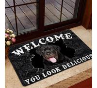 Bioputty You Look Delicious Welcome Doormat,Rottweiler Indoor Decor Patio Mats Entrance Door Mats Non-Slip Outside Inside Floor Mat Rugs for Home Kitchen Bathroom Patio Decor 18x30 Inch